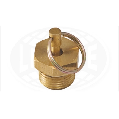 1596618631_DRAIN_PLUG-AIR_PRESSURE_NUT.jpg